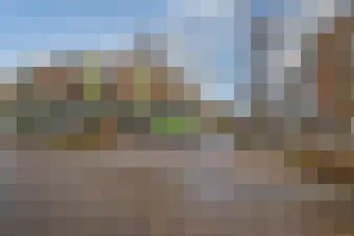 Minister Aalberselaan 124 Rijswijk thumbnail 29