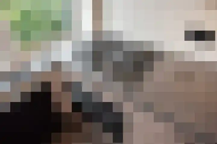 Minister Aalberselaan 142 Rijswijk thumbnail 10