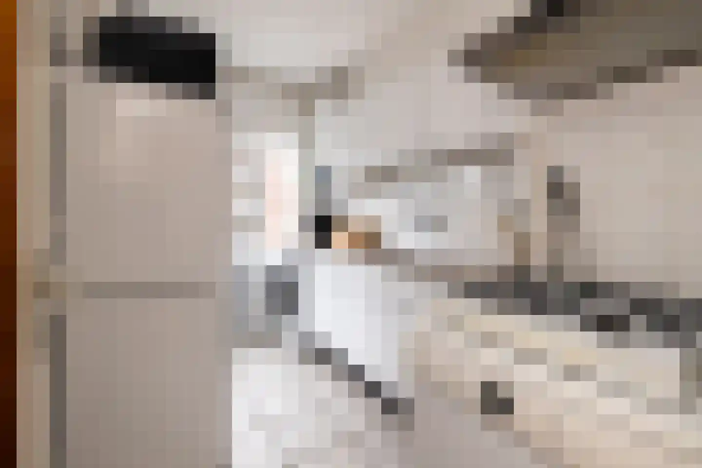 Minister Aalberselaan 74 Rijswijk thumbnail 17