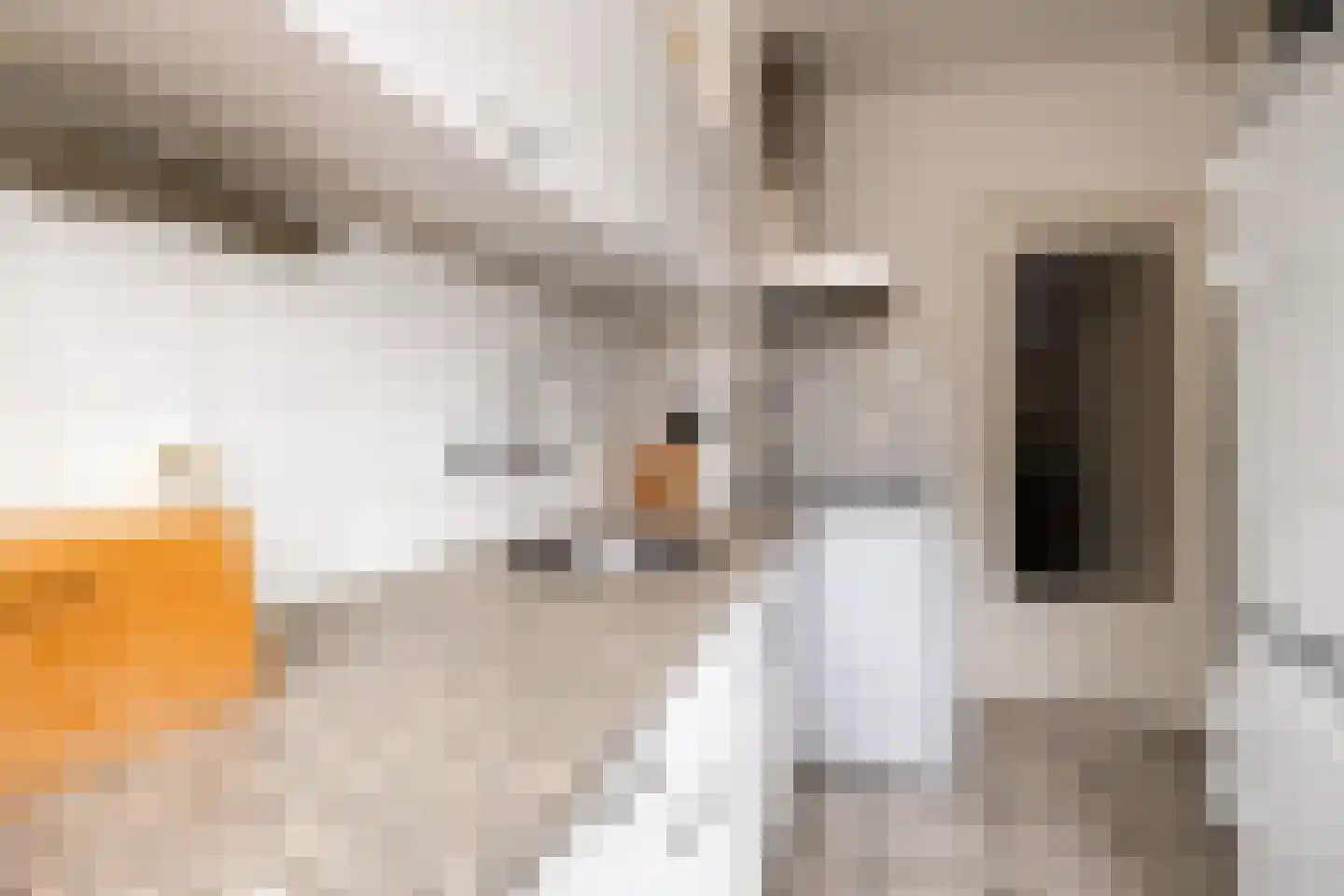 Minister Aalberselaan 74 Rijswijk thumbnail 18