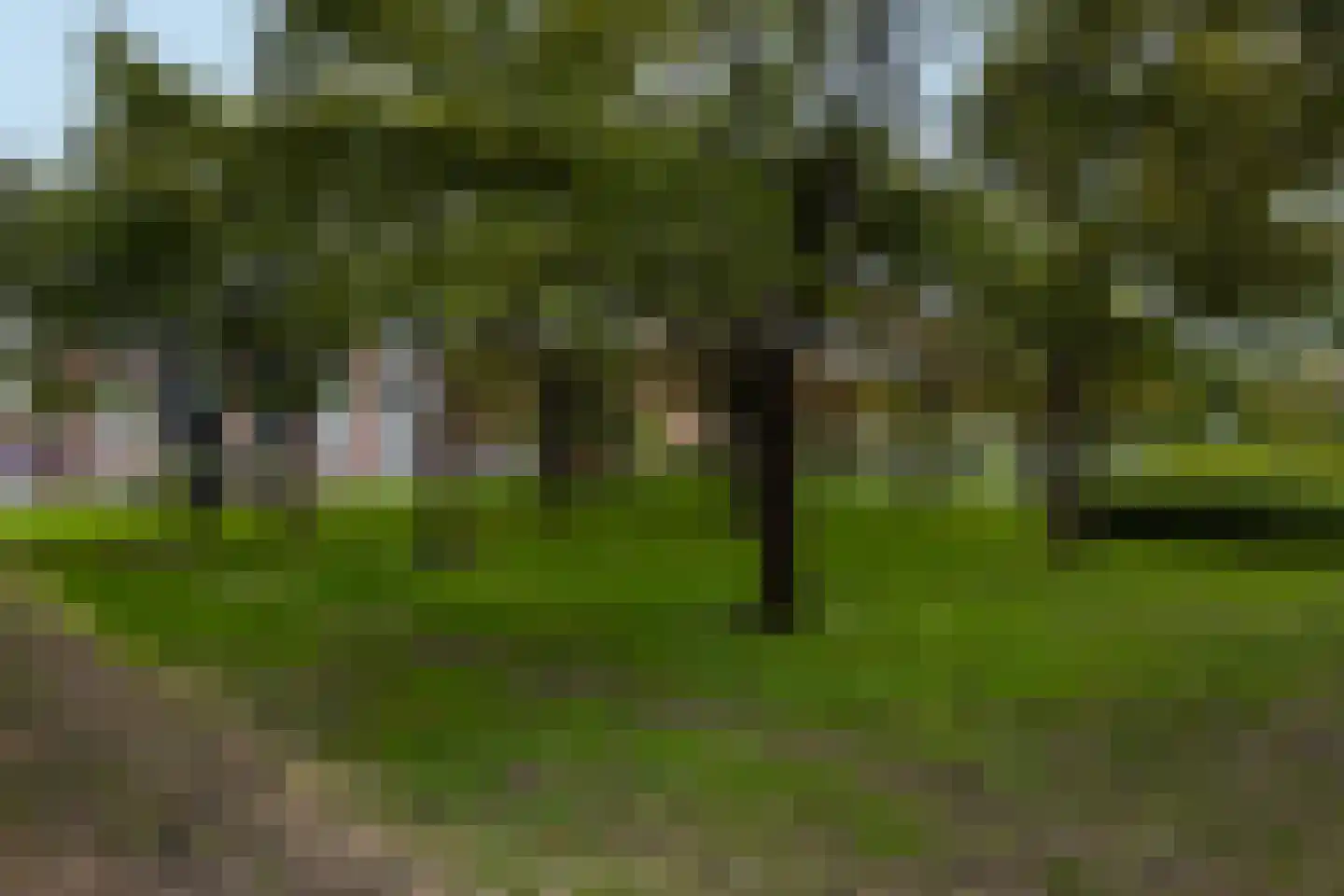 Minister Aalberselaan 74 Rijswijk thumbnail 27