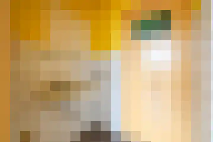 Minister Aalberselaan 90 Rijswijk thumbnail 10