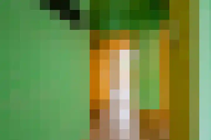 Minister Aalberselaan 90 Rijswijk thumbnail 12