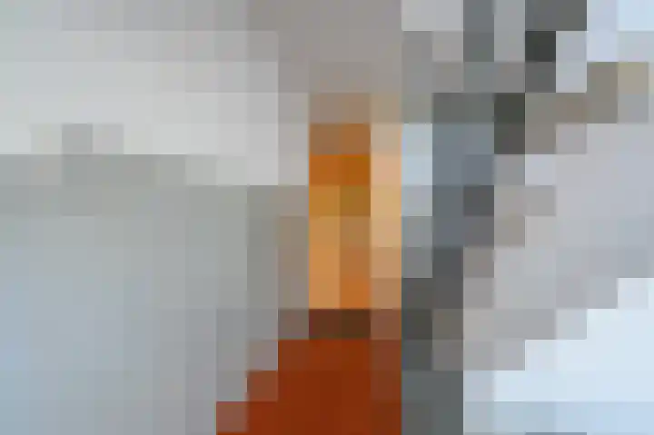 Minister Aalberselaan 90 Rijswijk thumbnail 23