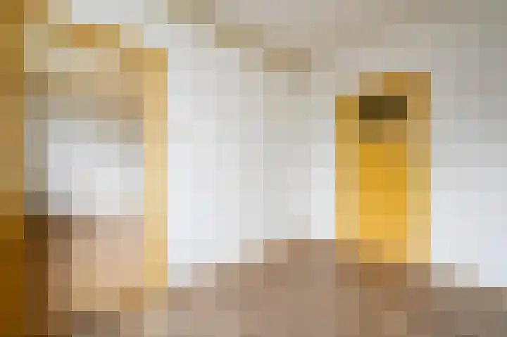 Minister Aalberselaan 90 Rijswijk thumbnail 7