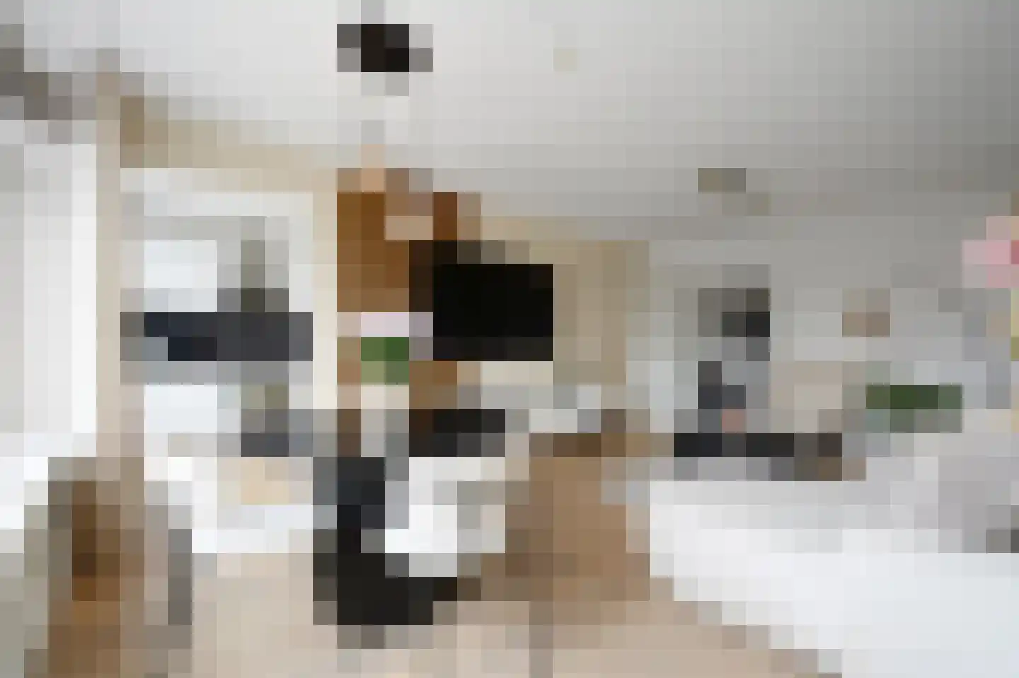 Minister Aalberselaan 94 Rijswijk thumbnail 12