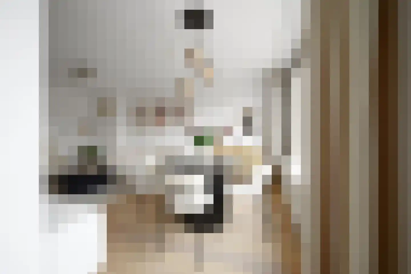 Minister Aalberselaan 94 Rijswijk thumbnail 16