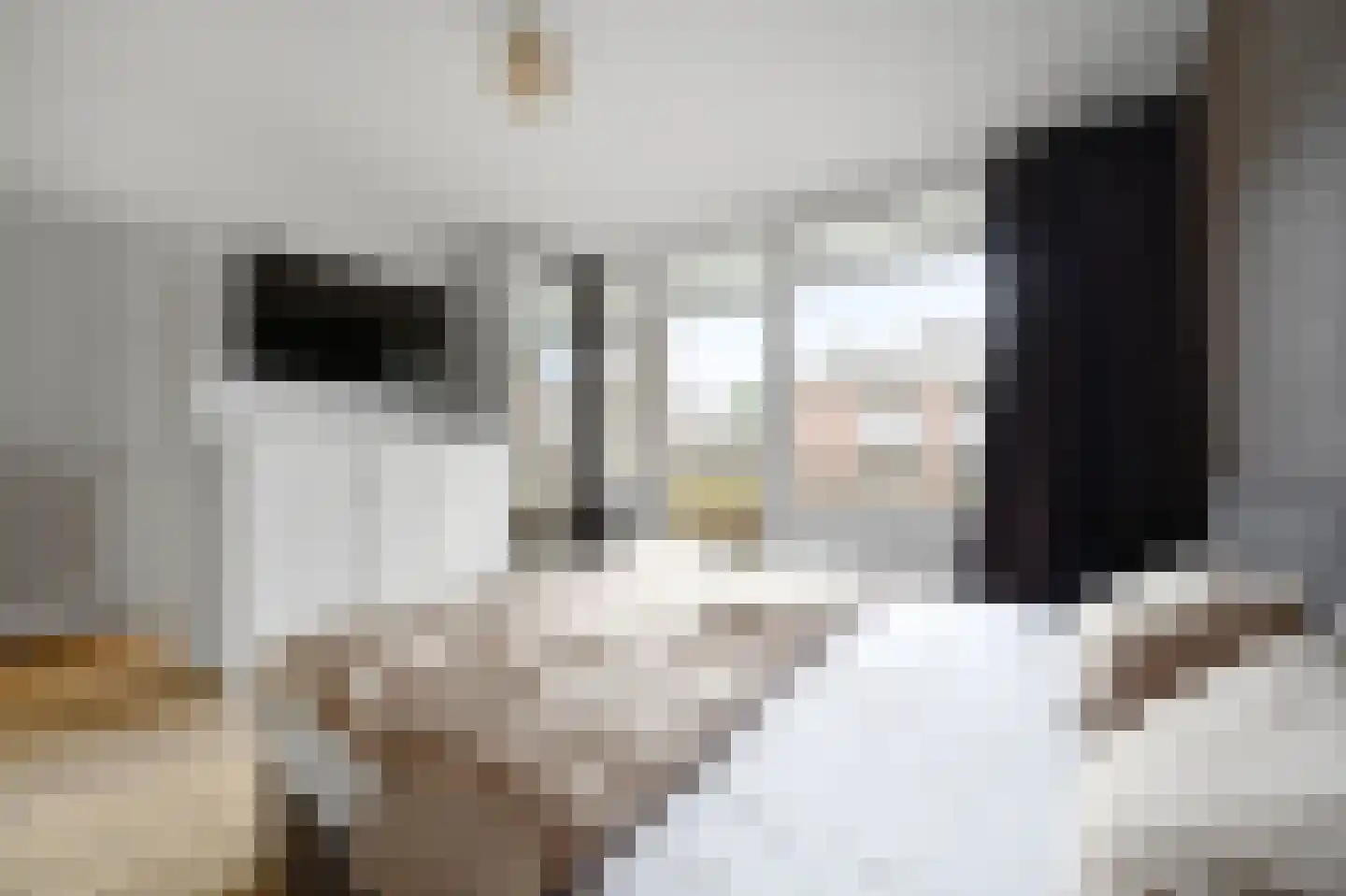 Minister Aalberselaan 94 Rijswijk thumbnail 29
