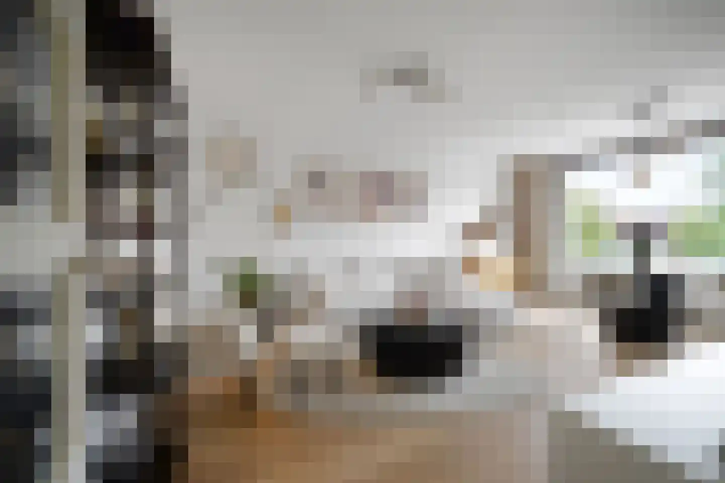 Minister Aalberselaan 94 Rijswijk thumbnail 9