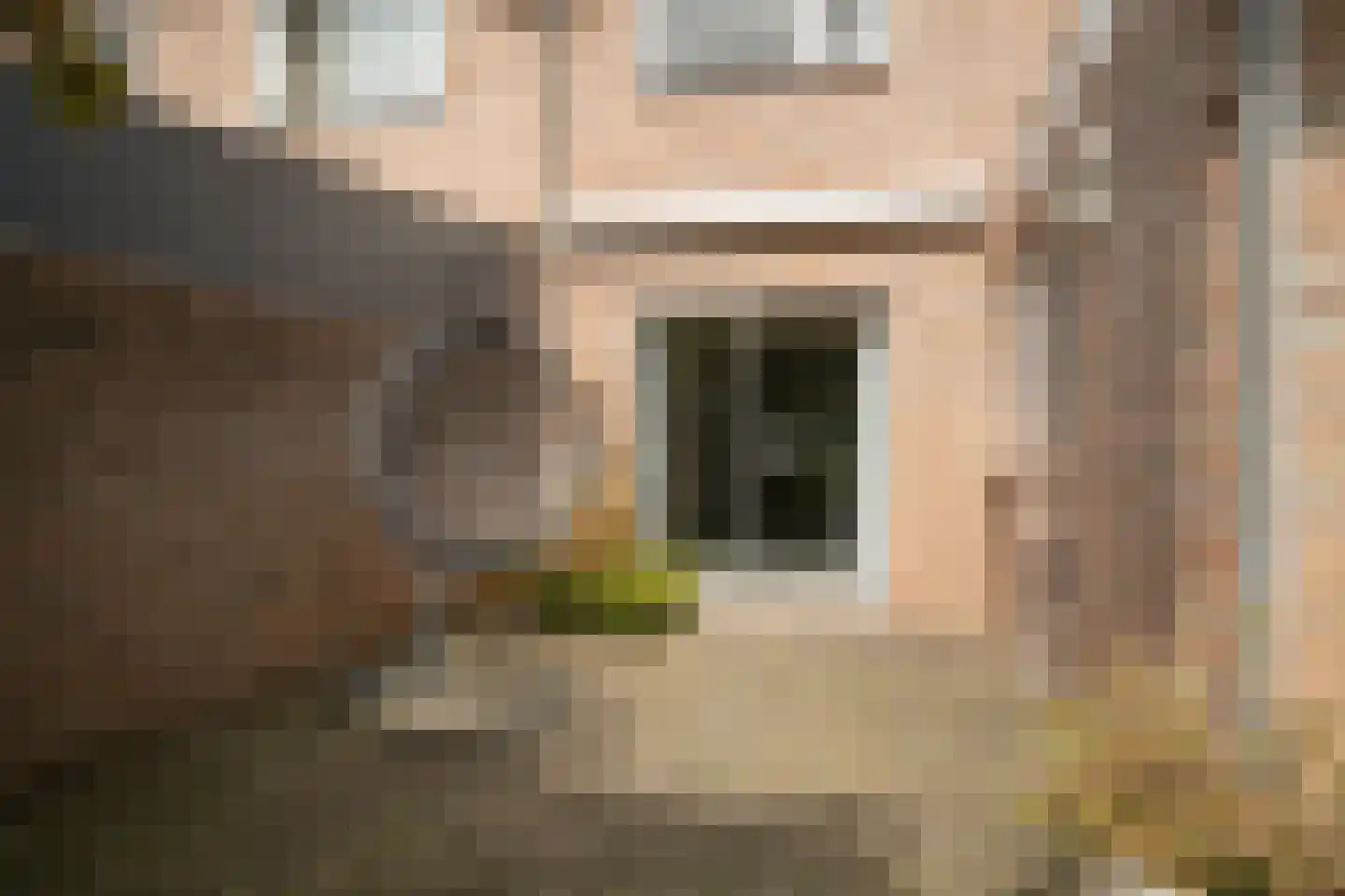 Minister De Savornin Lohmanlaan 69 Enschede thumbnail 23