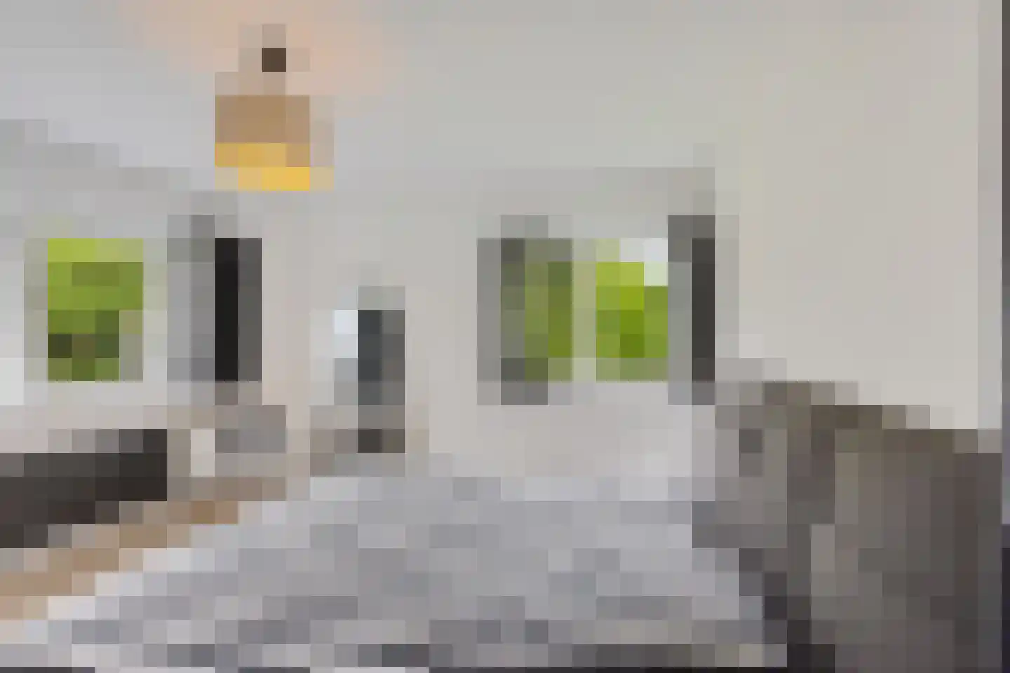 Minister Goeman Borgesiusstraat 25 Enschede thumbnail 28