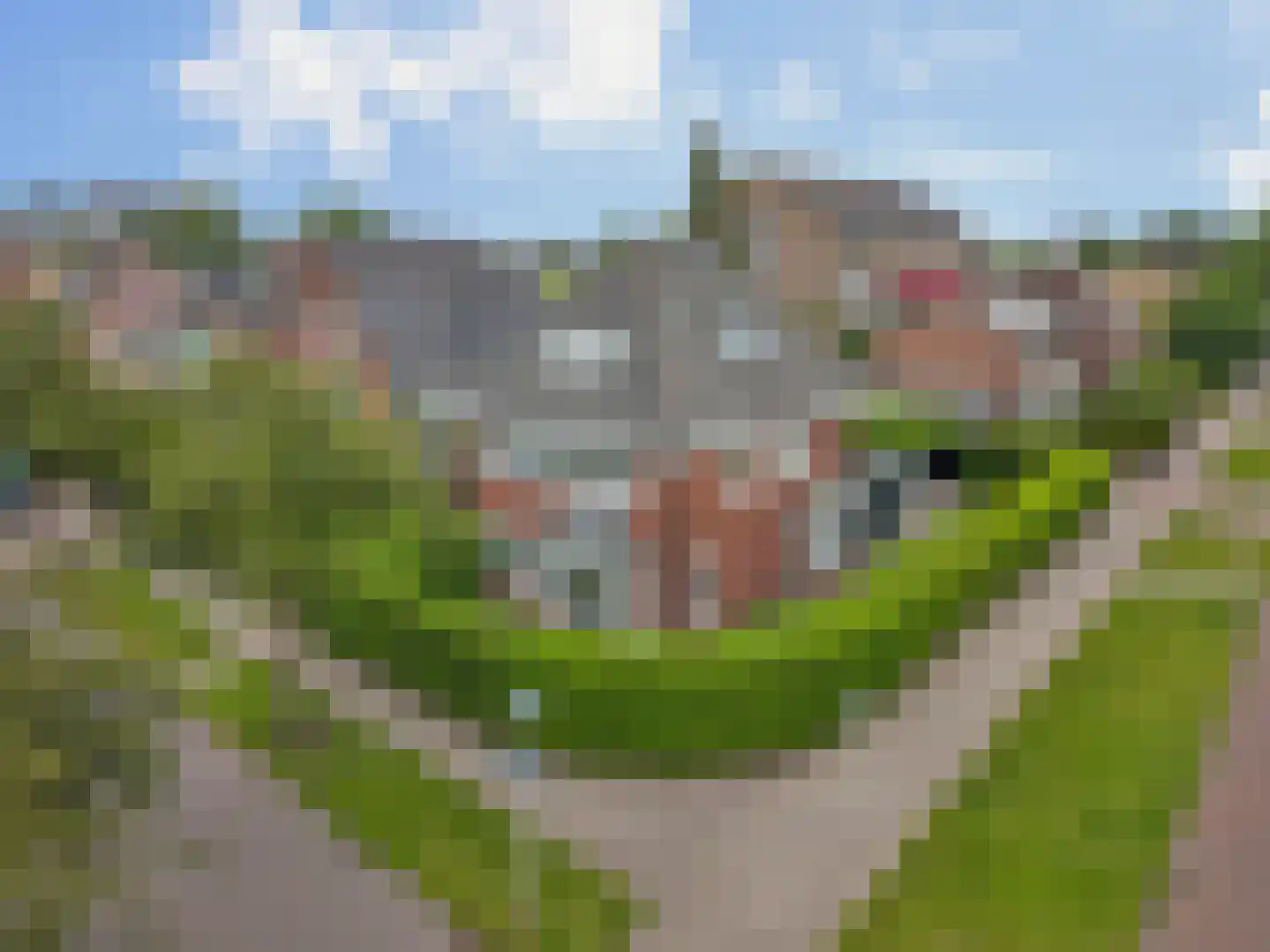 Minister Goeman Borgesiusstraat 25 Enschede thumbnail 9