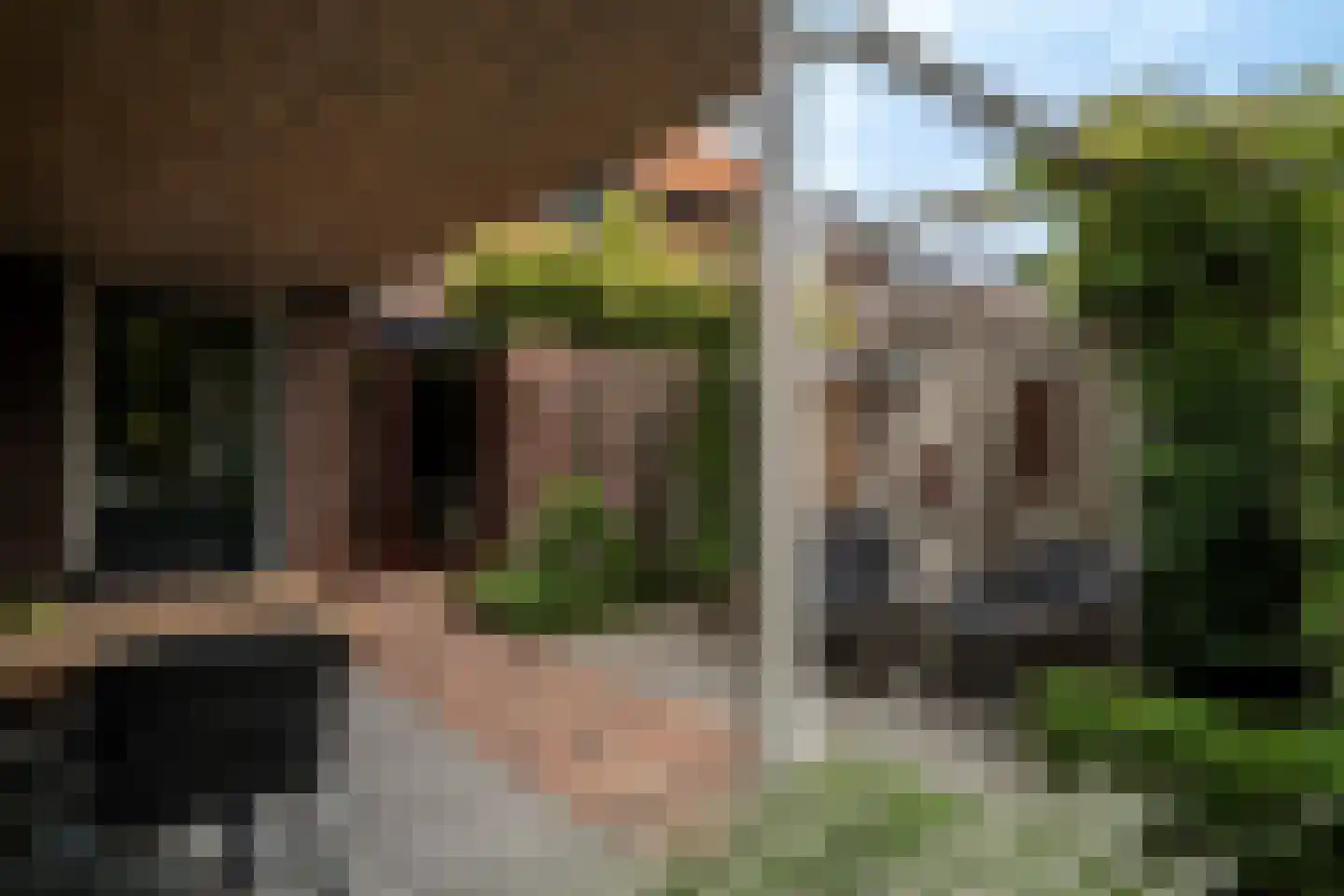 Minister Goselinglaan 7 Reuver thumbnail 37