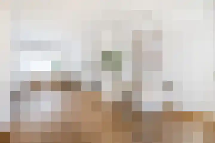 Minister Mutsaersstraat 19 Tilburg thumbnail 17