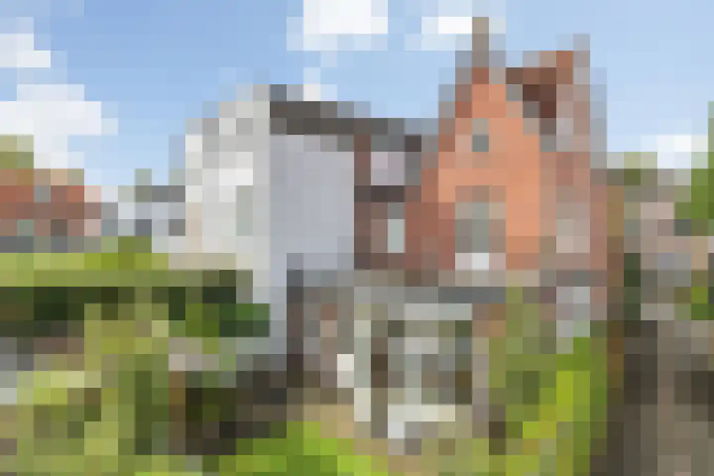 Minister Nelissenstraat 39 Breda thumbnail 102