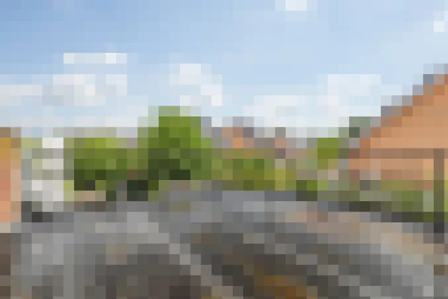 Minister Nelissenstraat 39 Breda thumbnail 63