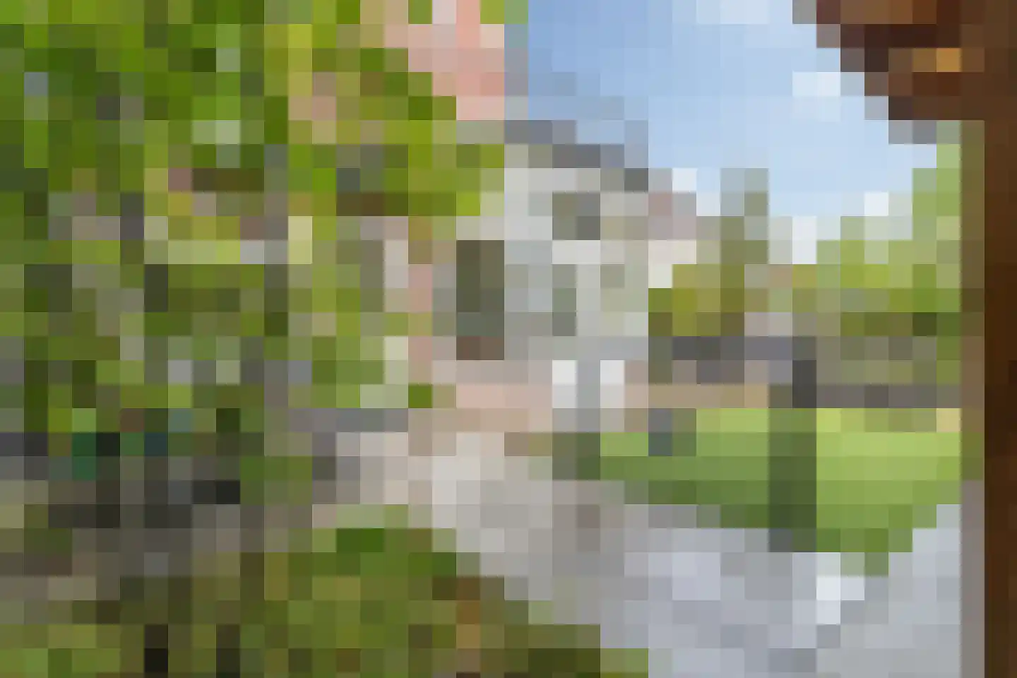 Minister Nelissenstraat 39 Breda thumbnail 99