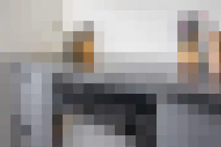 Minister Talmalaan 157 Rijswijk thumbnail 8