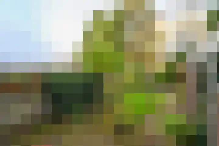 Minister Talmalaan 180 Rijswijk thumbnail 17