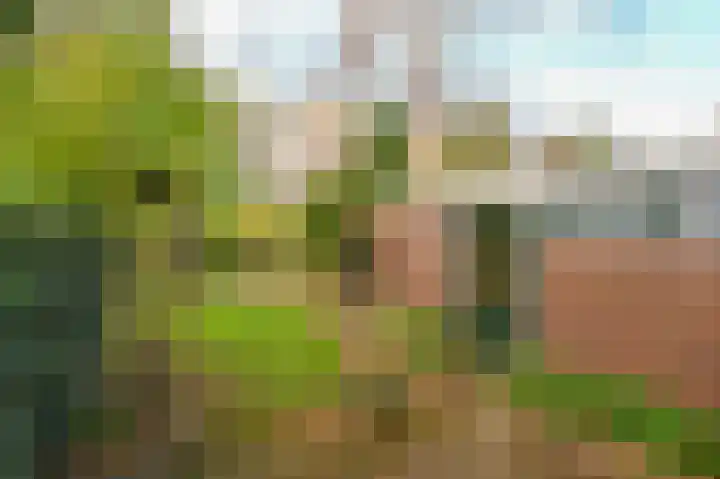Minister Talmalaan 180 Rijswijk thumbnail 18