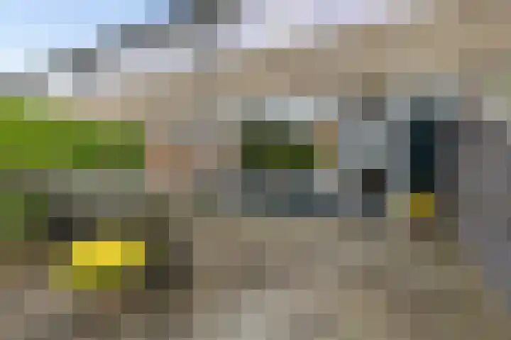 Minister van den Brinklaan 76 Burgum thumbnail 5