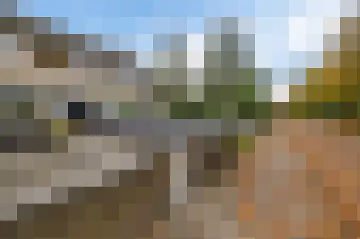 Minister van den Brinklaan 76 Burgum thumbnail 9