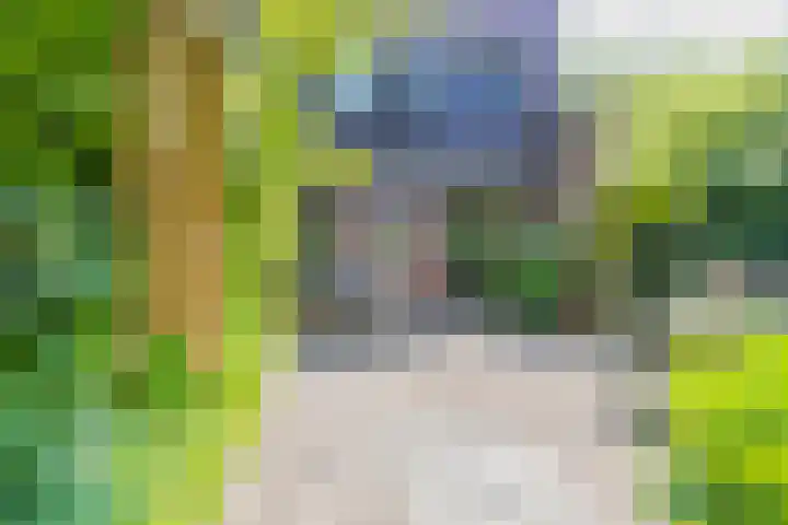 Minister van Houtenlaan 120 Velsen-Zuid thumbnail 32