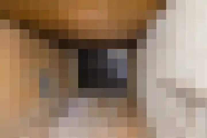 Minister van Houtenlaan 120 Velsen-Zuid thumbnail 34