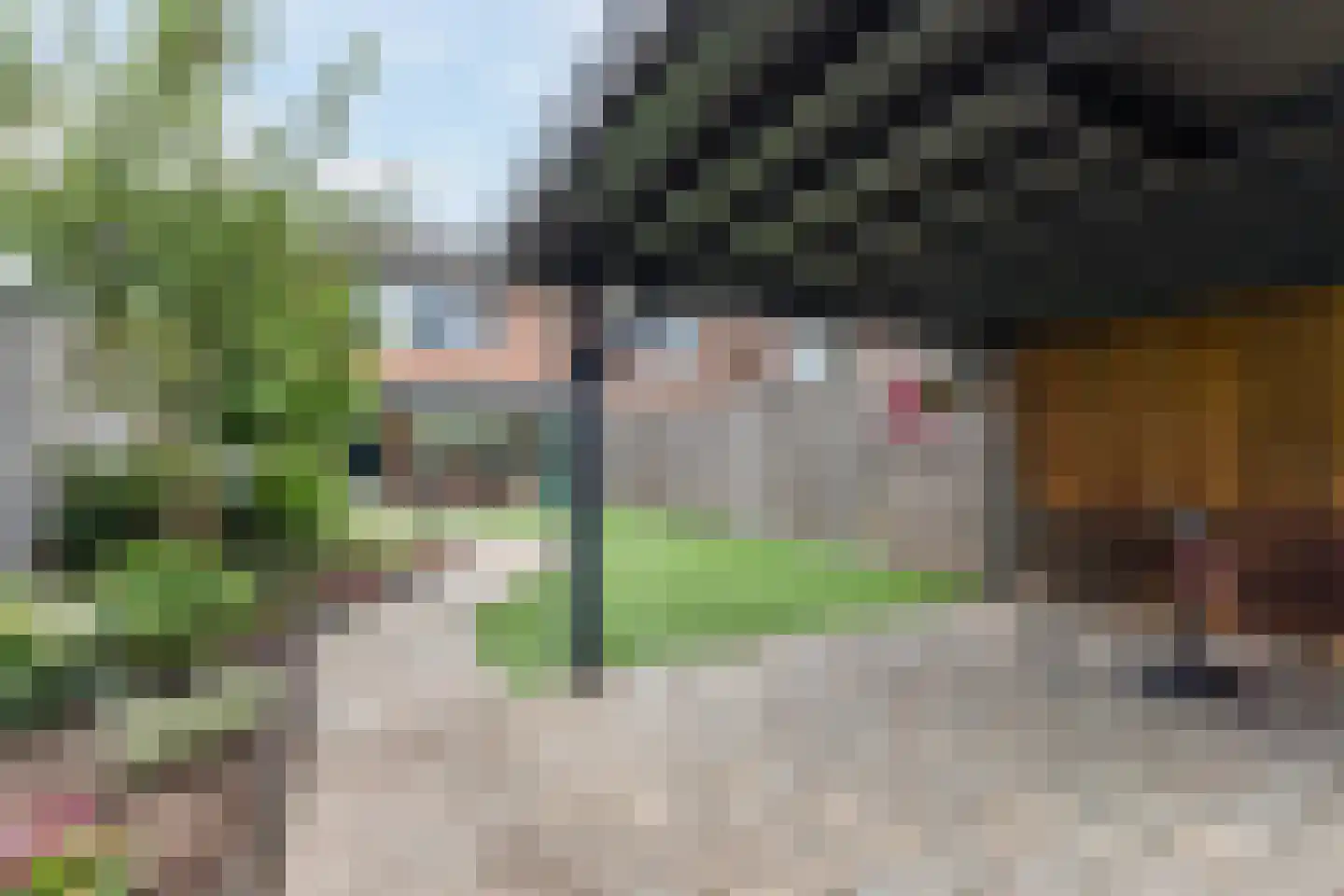Minister van Houtenstraat 10 Veghel thumbnail 24
