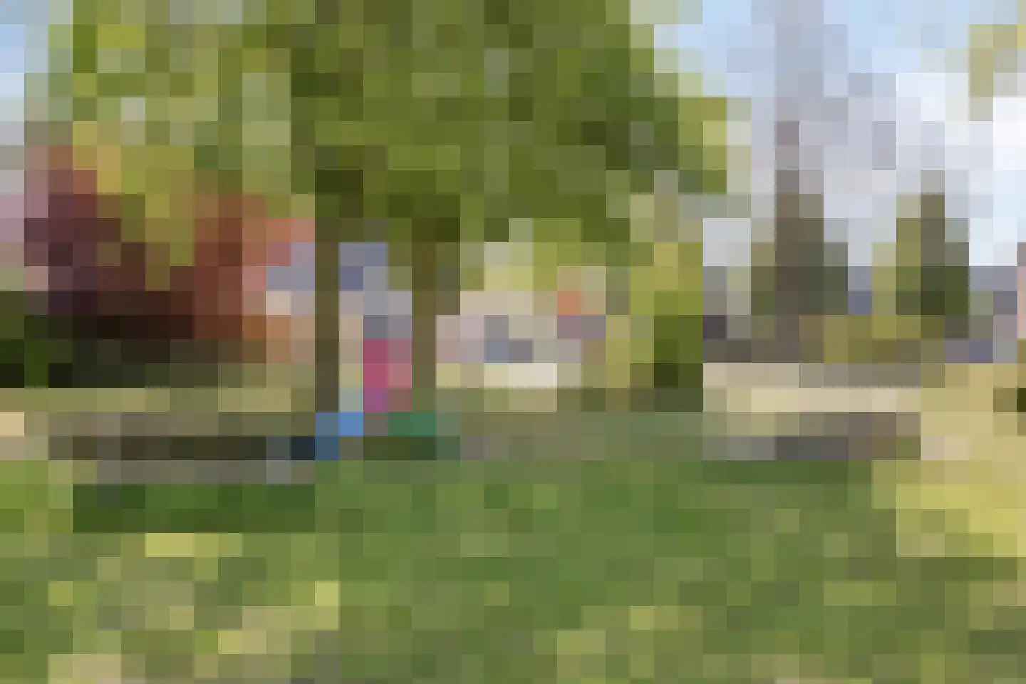 Minister van Houtenstraat 4 Veghel thumbnail 37