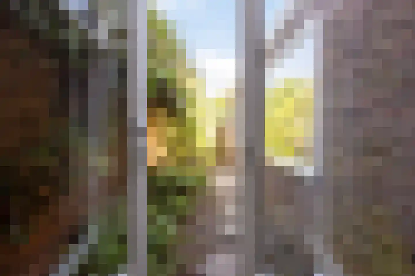 Minister van Sonstraat 28 Tilburg thumbnail 7