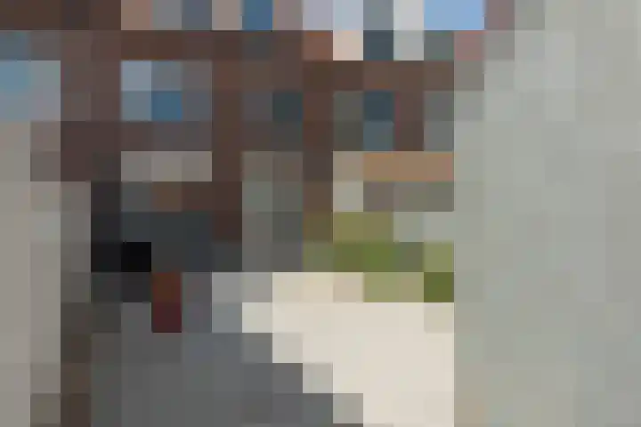 Minister van Sonstraat 48 Tilburg thumbnail 35