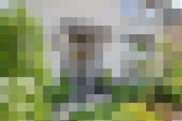Minister Verschuurstraat 12 Rijsbergen thumbnail 7