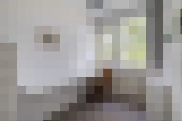 Ministerlaan 114 Zwolle thumbnail 20