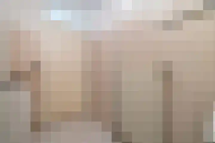 Ministerlaan 114 Zwolle thumbnail 25