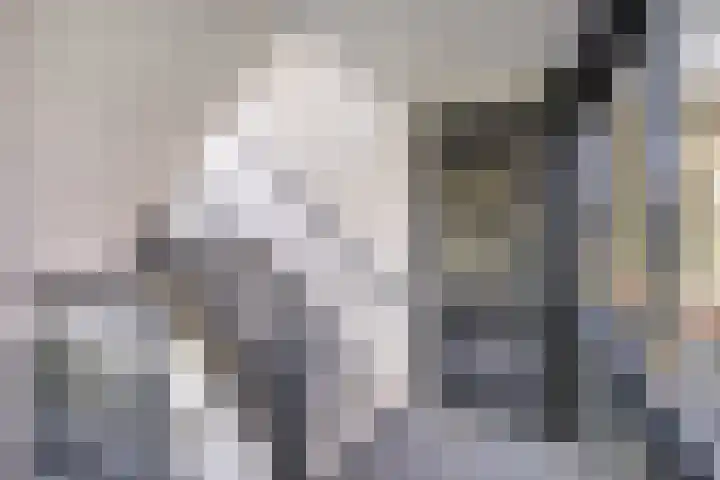 Ministerlaan 114 Zwolle thumbnail 6