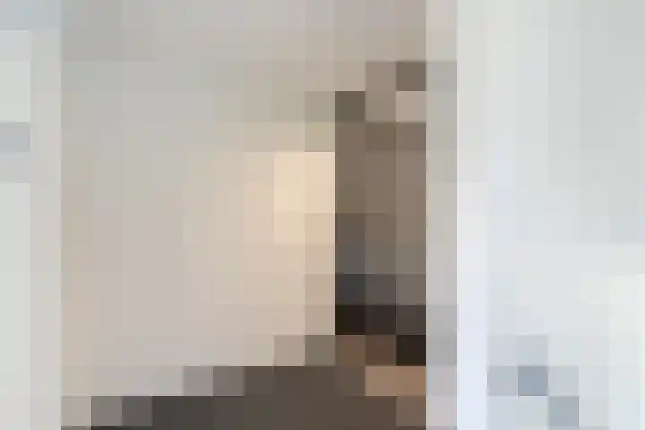 Ministerlaan 114 Zwolle thumbnail 7