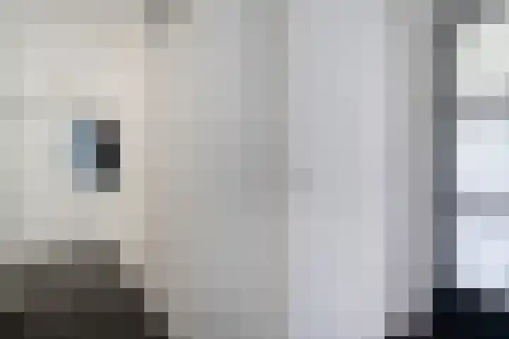 Ministerlaan 114 Zwolle thumbnail 9