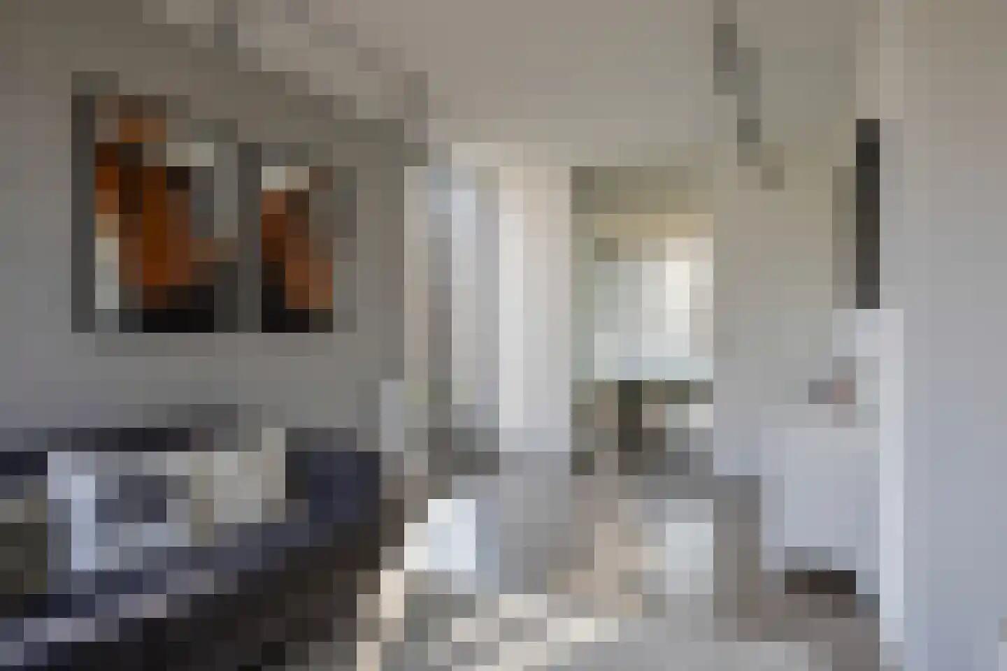 Ministerlaan 12 Eindhoven thumbnail 20