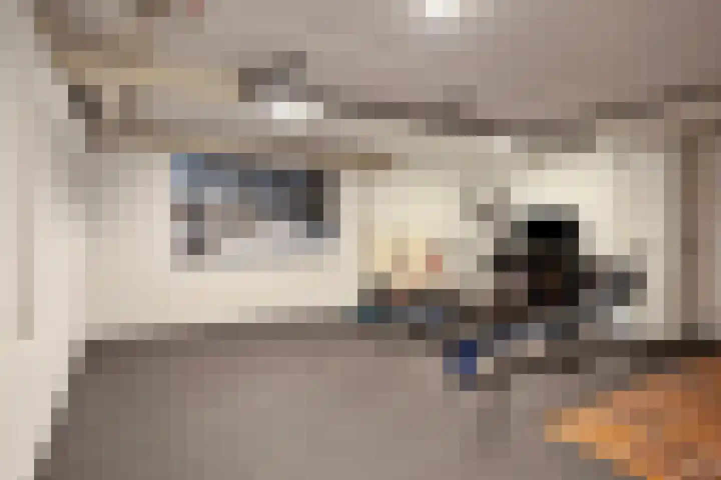 Ministerlaan 12 Eindhoven thumbnail 22