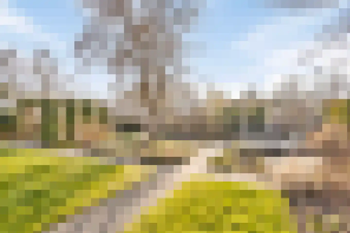 Ministerlaan 12 Eindhoven thumbnail 42