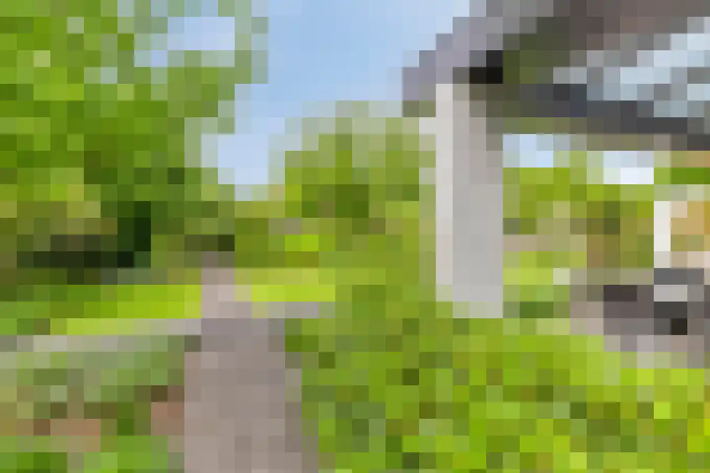Ministerlaan 12 Eindhoven thumbnail 44