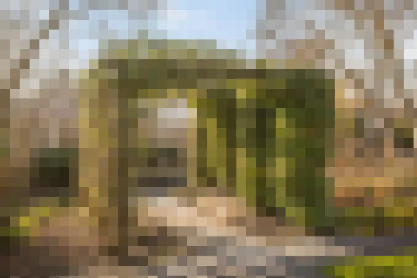 Ministerlaan 12 Eindhoven thumbnail 45