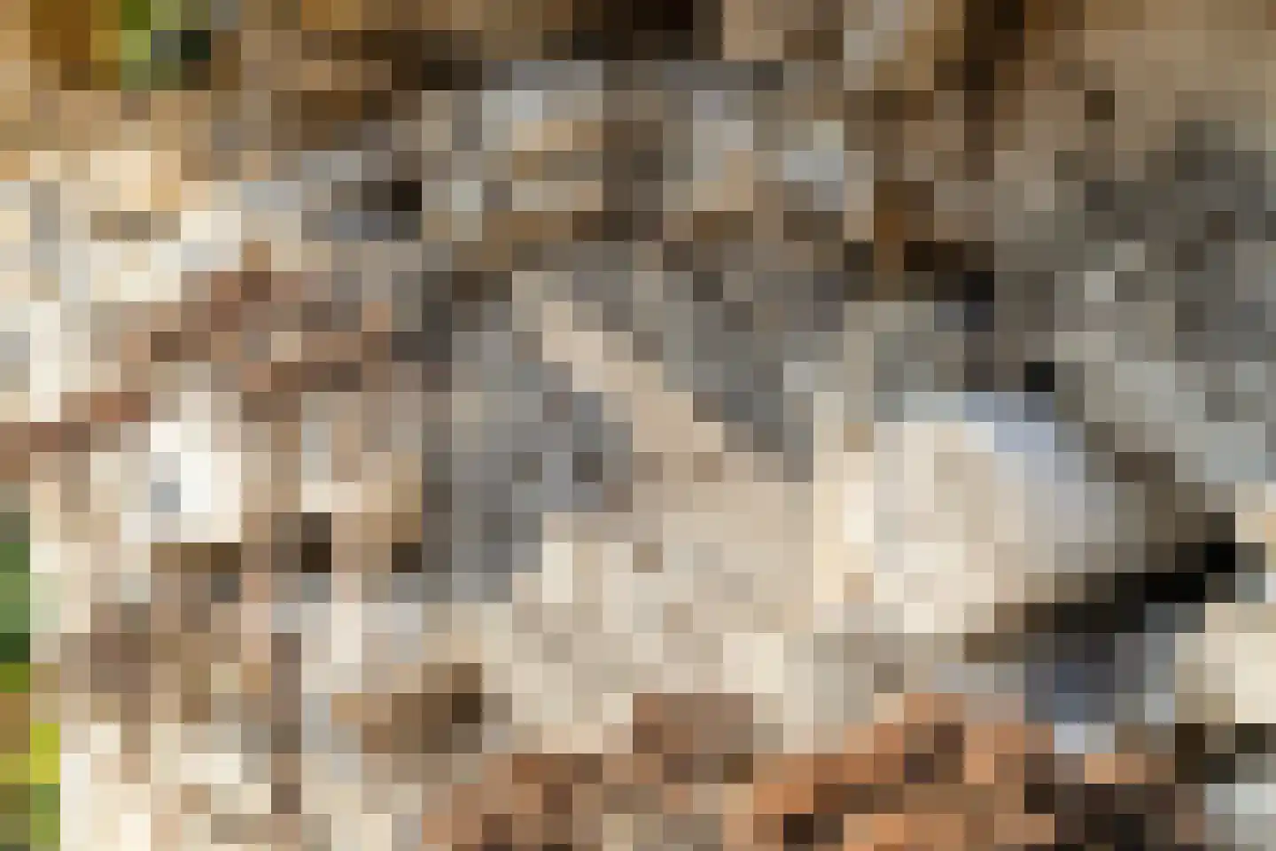 Ministerlaan 12 Eindhoven thumbnail 47