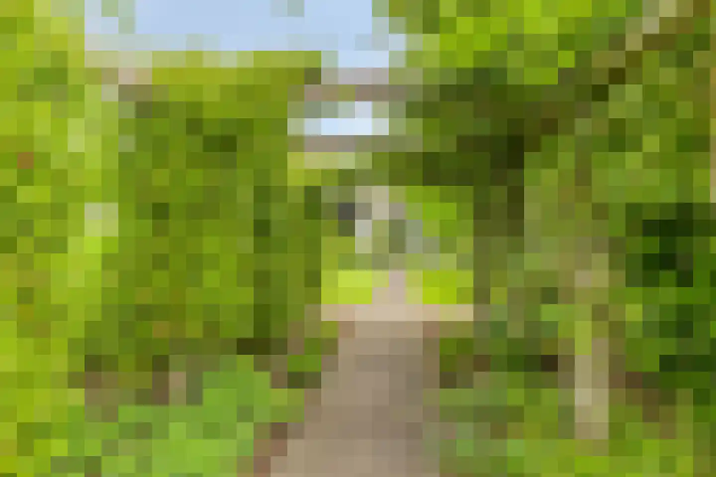 Ministerlaan 12 Eindhoven thumbnail 49