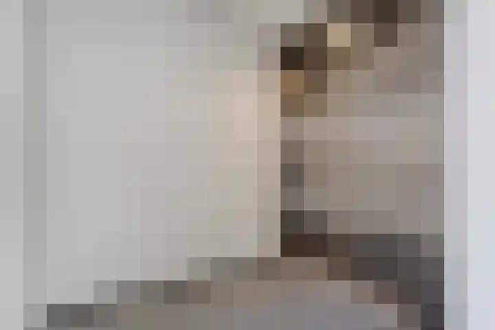 Ministerlaan 122 Zwolle thumbnail 11