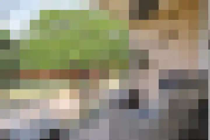 Ministerlaan 122 Zwolle thumbnail 27