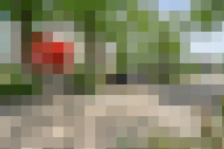 Ministerlaan 122 Zwolle thumbnail 6