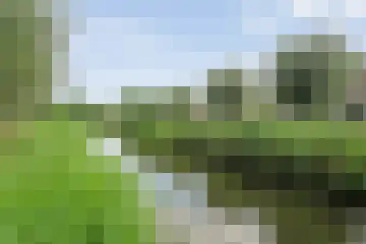 Ministerlaan 122 Zwolle thumbnail 7