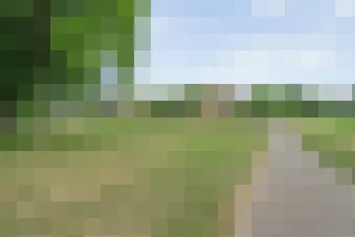 Ministerlaan 122 Zwolle thumbnail 8
